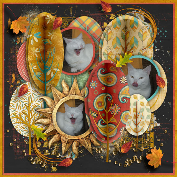 Aimee Harrison Fall designs