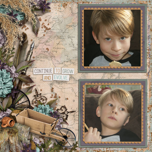 Aimee Harrison Fall designs