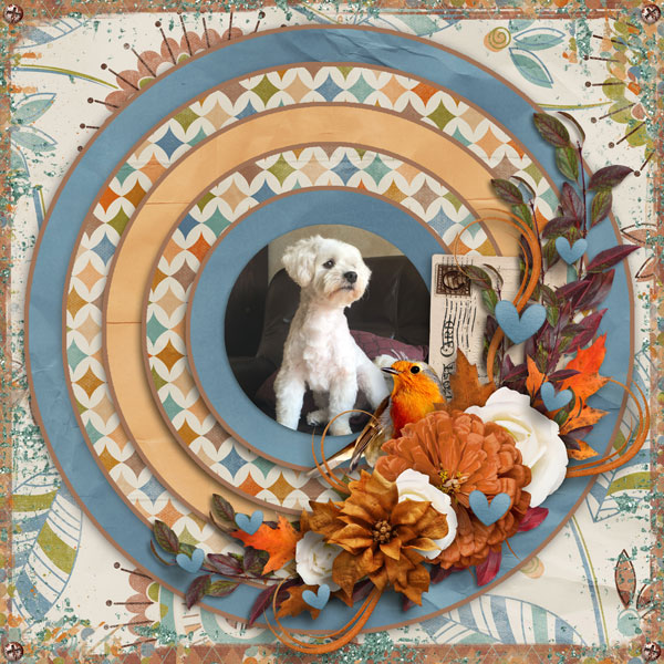 Aimee Harrison Fall designs