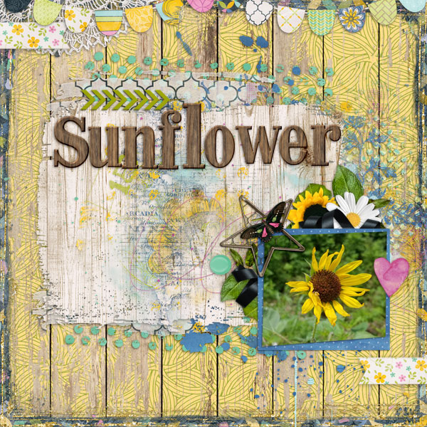 aimee_sunflowerdreams_tcot_sayit_600