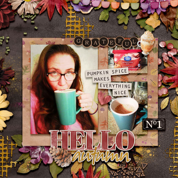 aimeeh_bonfirenights-