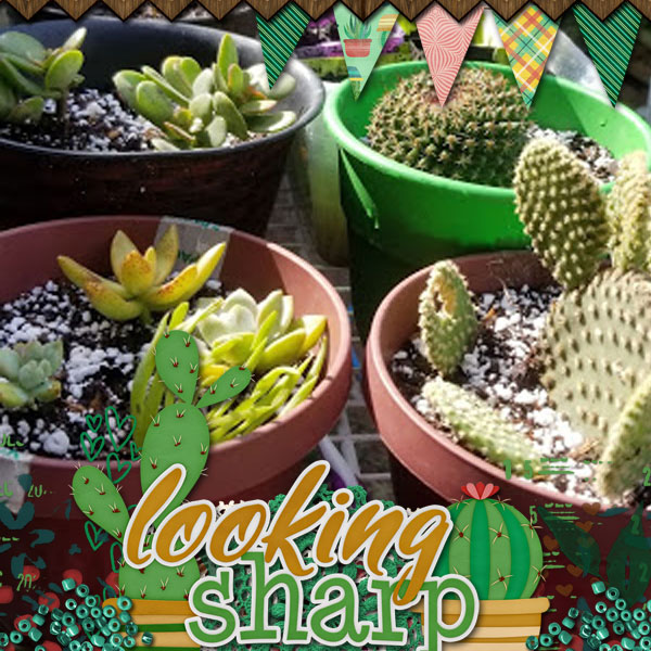 aimeeh_cactuslover600