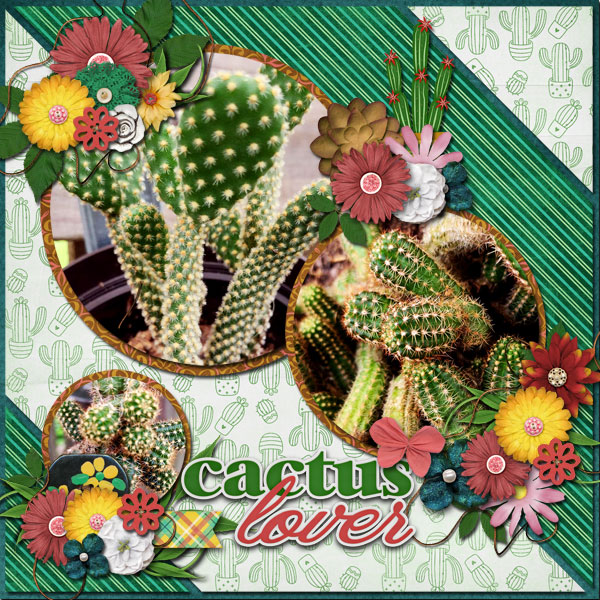 aimeeh_cactuslover_mfish_goesaround3