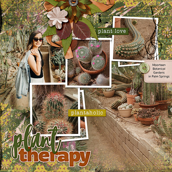 aimeeh_crazyplantlady_blended08