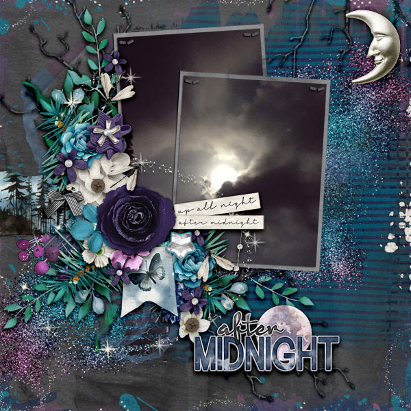 aimeeh_rittc_wotws-nocturnal_600