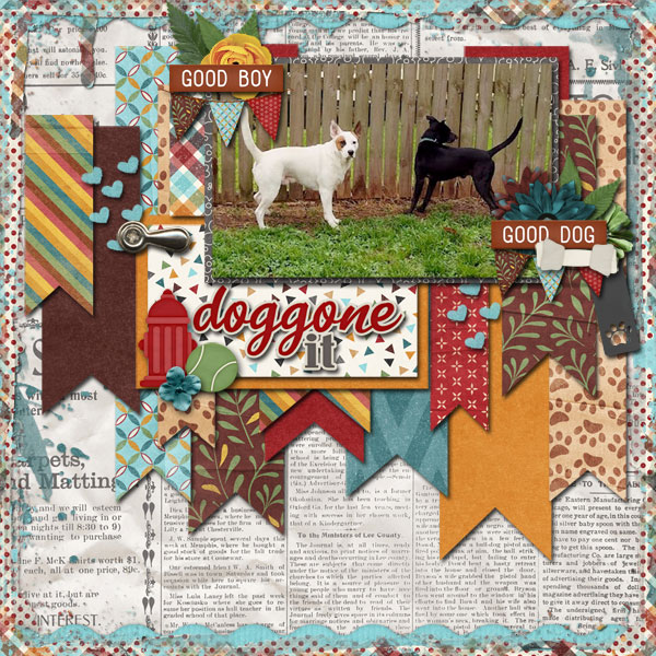 aimeeh_tmd_doggoneit_MFish_Bannertastic