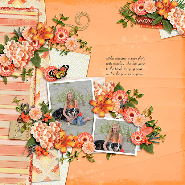 AimeeHarrison-OrangeSpice_HandTossed1Temp-Bella2014