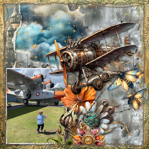 Airshow