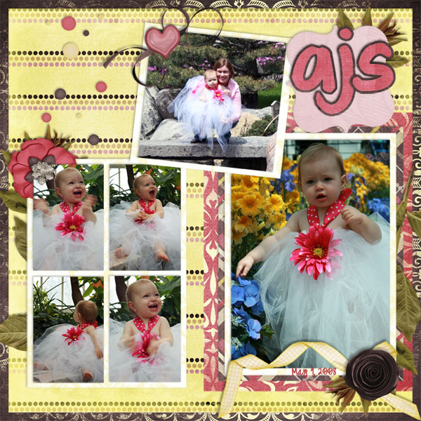 AJS_sm1