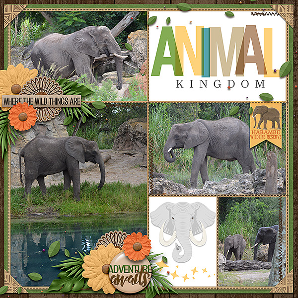 AK elephants