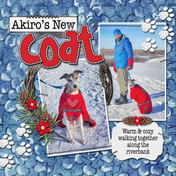 Akiro's New Coat