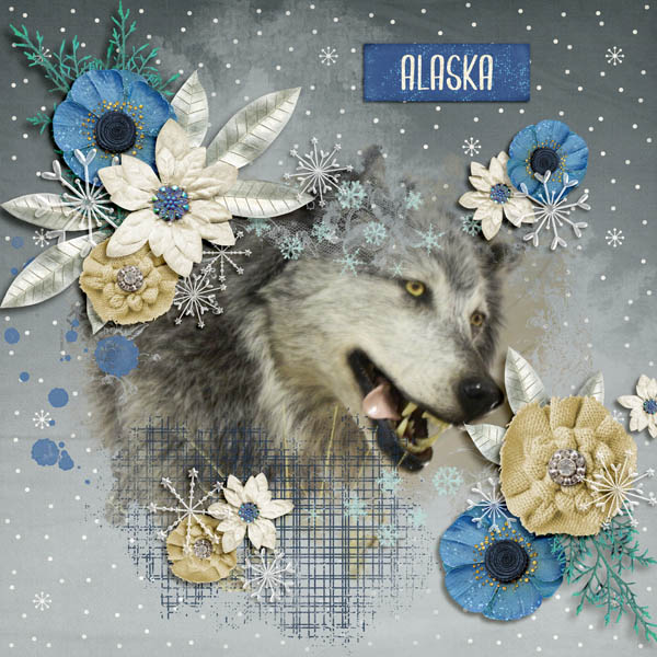 Alaska