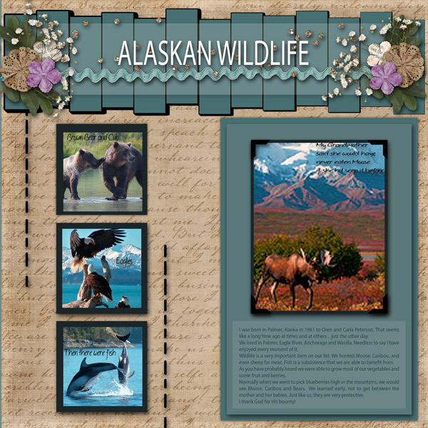 Alaskan Wildlife