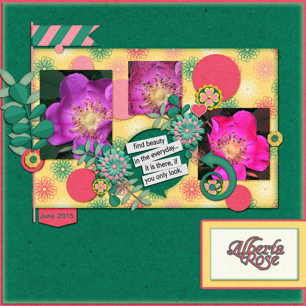Alberta Rose