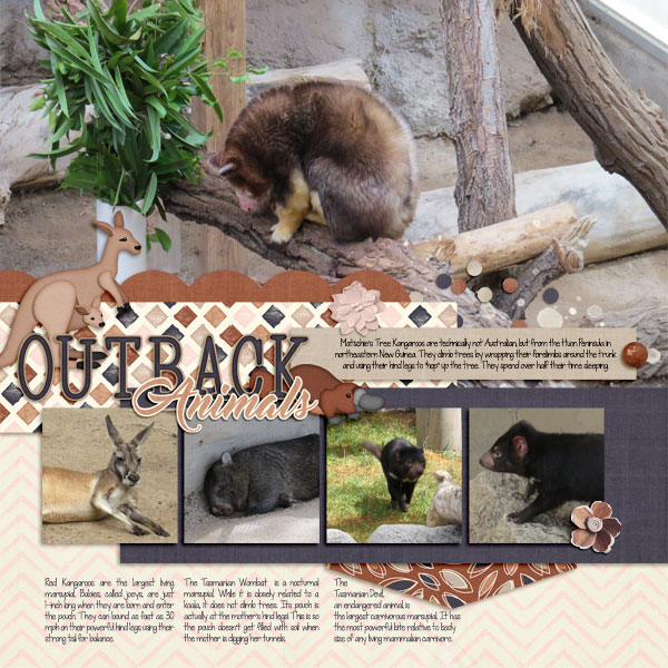 Albuquerque Zoo 2017 - Outback Animals