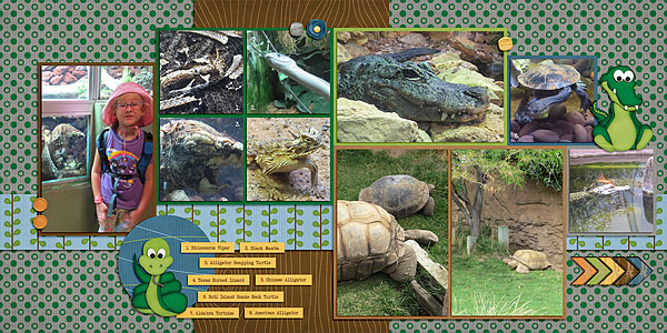 Albuquerque Zoo 3