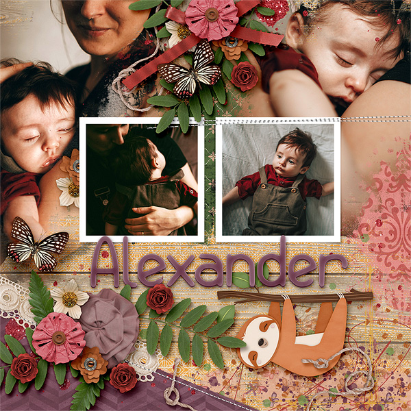 Alexander
