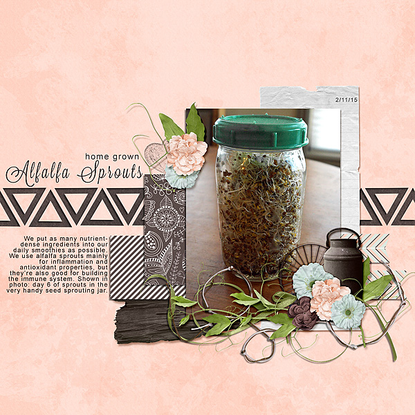 Alfalfa Sprouts