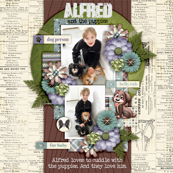 Alfred-and-the-puppies