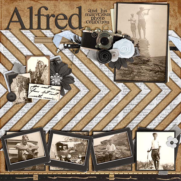 Alfred's Camera