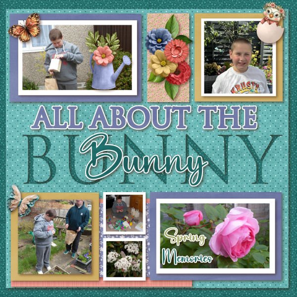 All about the Bunny