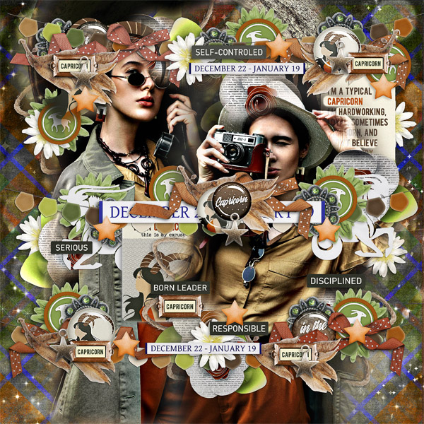 All About The Capricorns