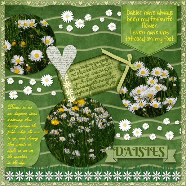 All About the Daisies