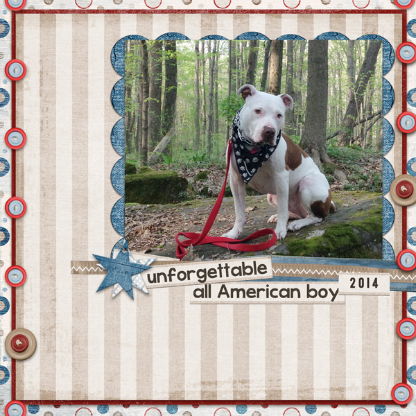 all american boy