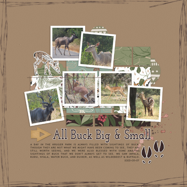 All Buck
