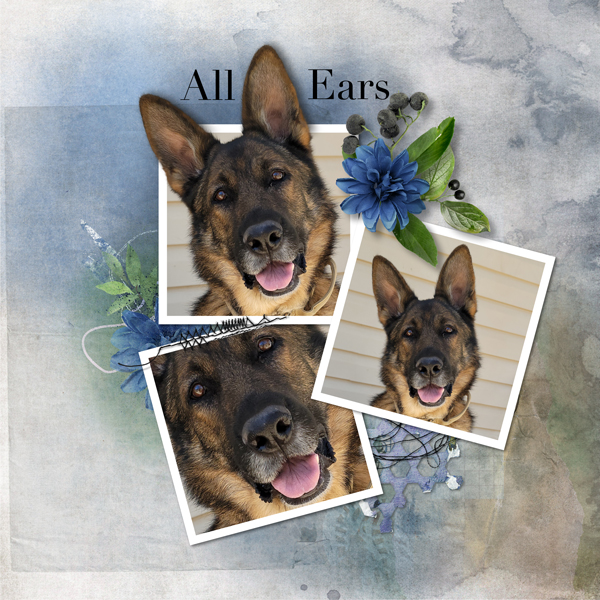 All Ears