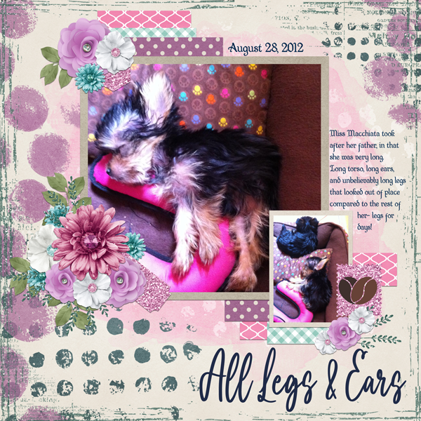 All Legs & Ears