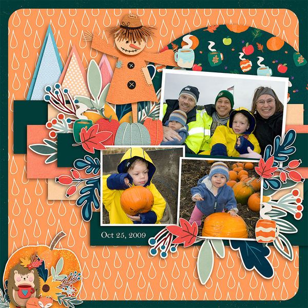 All Seasons Autumn