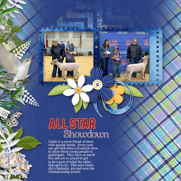 All Star Showdown