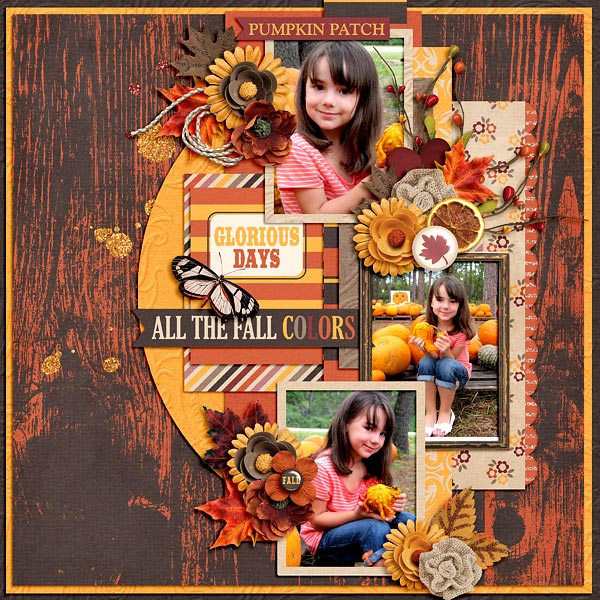 All The Fall Colors