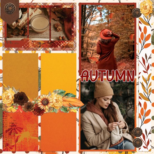 All the leaves are brown.jpg