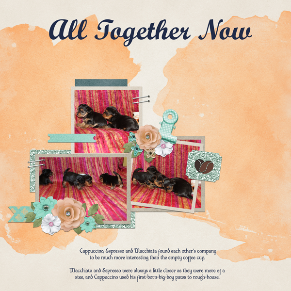 All Together Now