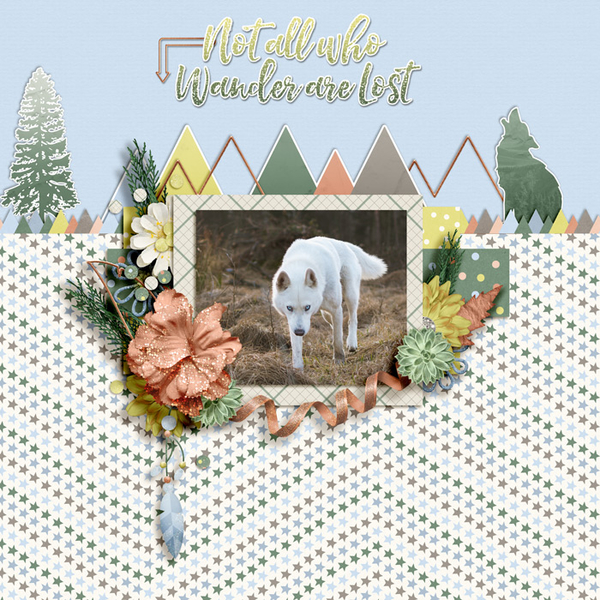 All Who Wander 1