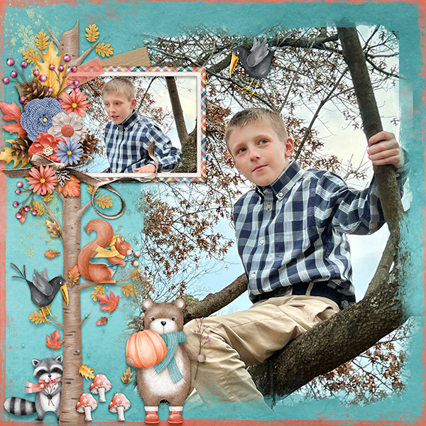 Allen in a tree