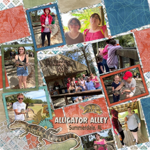 Alligator Alley