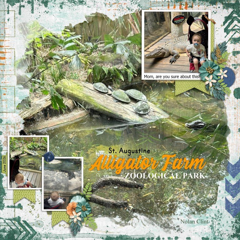 Alligator Farm