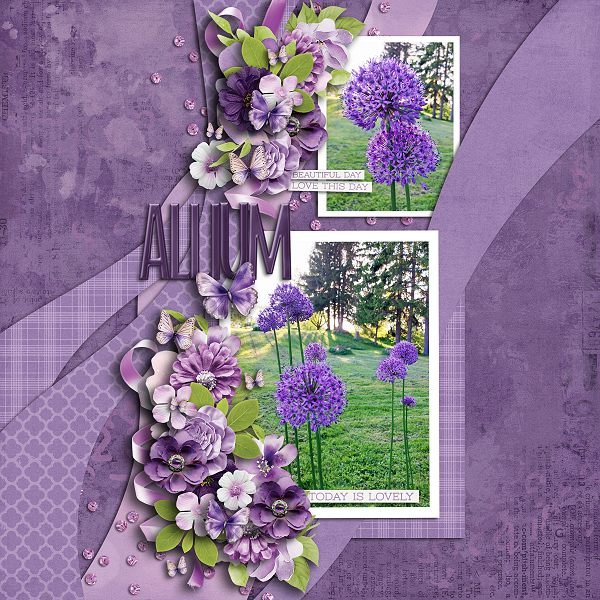 Allium