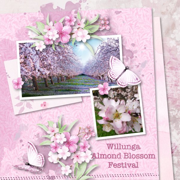 almond blossom