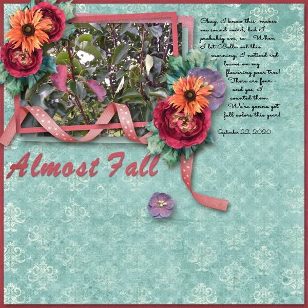 Almost Fall