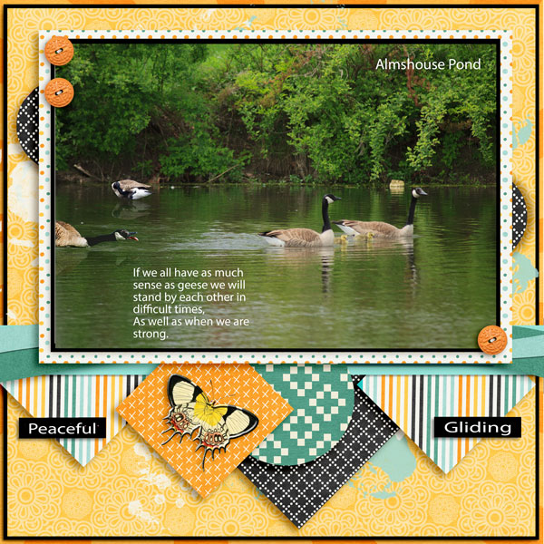 Almshouse Pond