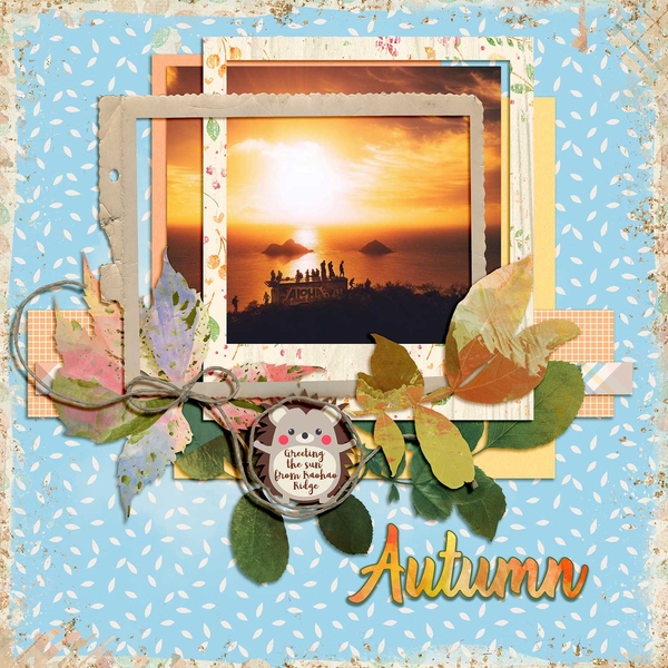 Aloha-Fall-WEBV