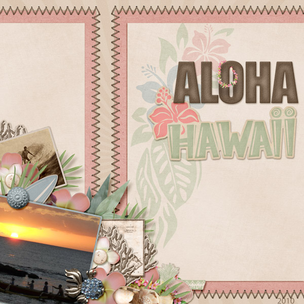 Aloha Hawaii