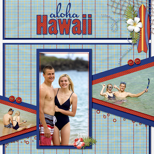 Aloha Hawaii