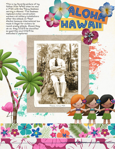 Aloha Hawaii