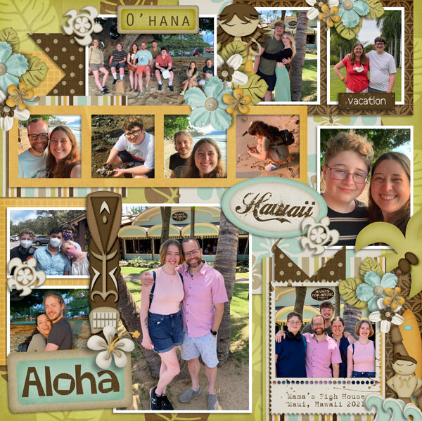 Aloha Hawaii