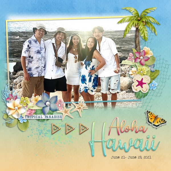 Aloha Hawaii